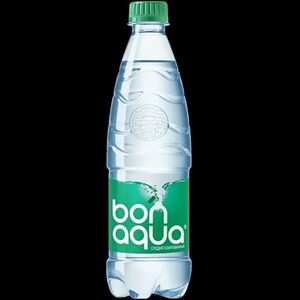 Bonaqua среднегазированная