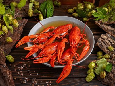 Хмельные Раки в пиве