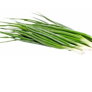 Лук зеленый 