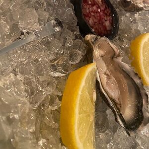 Устрица Джоли 