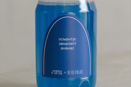 Холодный чай The Blueprint