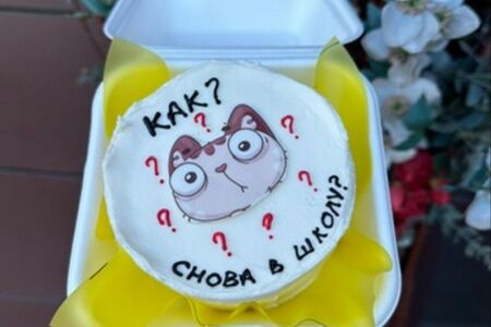 Как? Снова в школу?