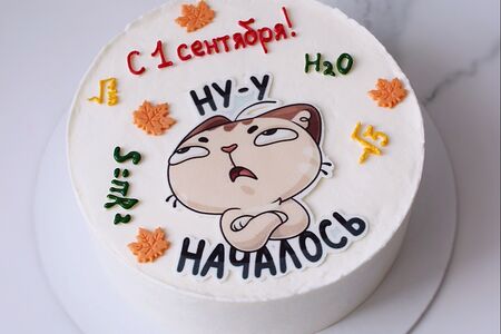 Торт на 1 сентября белый с котом и формулами  