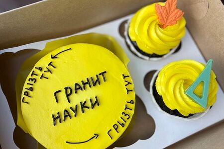  Подарочный набор: бенто-торт с капкейками Гранит науки
