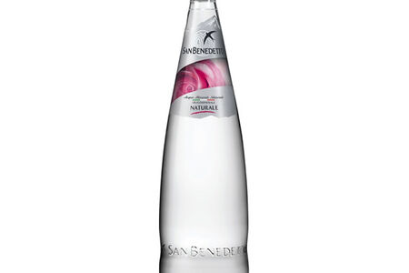 Минеральная вода негазированная San Benedetto