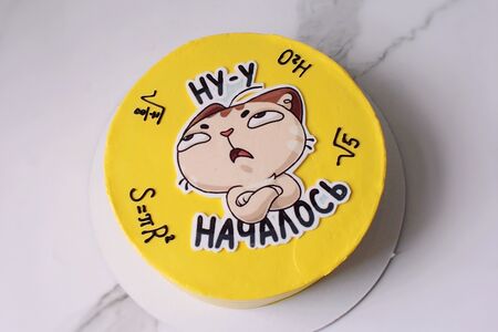 Торт на 1 сентября желтый с котом и формулами  