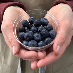 Голубика свежая 