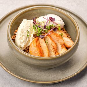 Суточная Греча