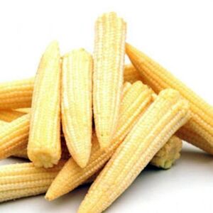 Мини-кукуруза