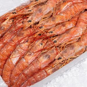 Лангустины с головой 