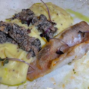 Филе морского окуня со сморчками