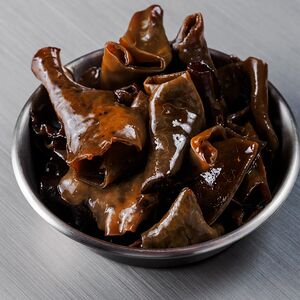 Древесные грибы