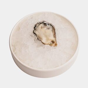 Устрица Джоли