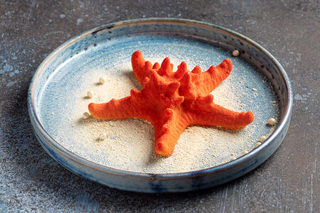 Морская звезда