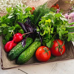 Сезонные овощи и зелень