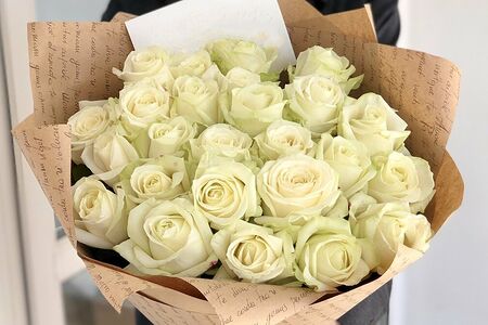 Белая роза White Queen