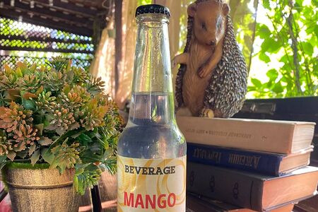 Beverage Tonic №6 Манго