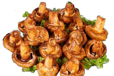 хочу мяса рябикова