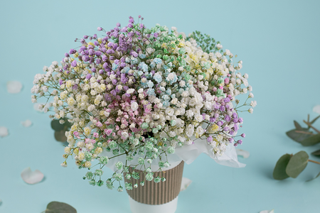 Букет цветов Облако гипсофил в стаканчике