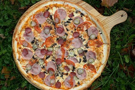 Мега Геркулес 50см