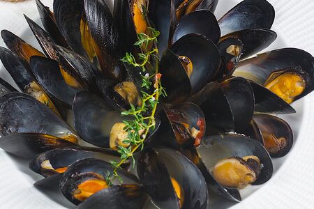 Мидии, пармезан, горгондзола, чиабатта