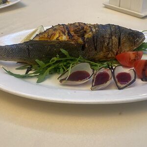 Сибас, запечённый с овощами