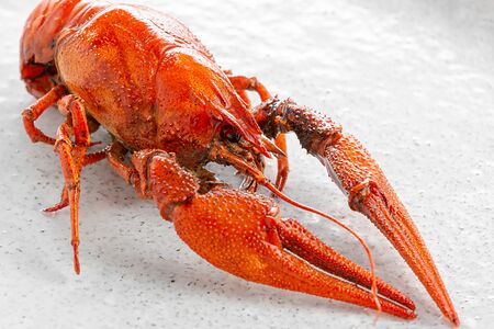 Раки средние