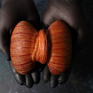 Бабочка с брусникой