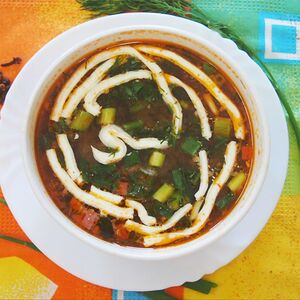 Солянка мясная