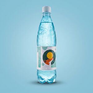 Вода минеральная столовая газированная 