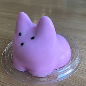 Панна-котик