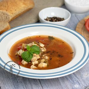 Суп овощной с индейкой 