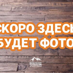 Закуска из спелых томатов