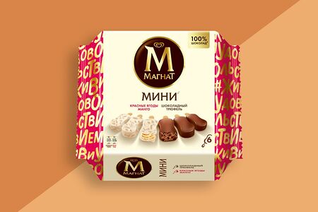 Набор Магнат Мини