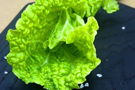 Хрустящий лист салата