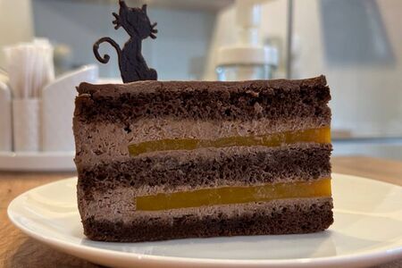 Торт Шоколадный с манго и маракуйей без сахара