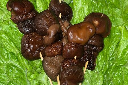 Мини шашлычки грибы шиитаке