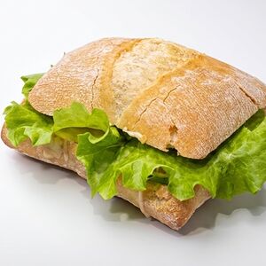 Панини фирменный