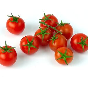 Помидор 40гр. (329)