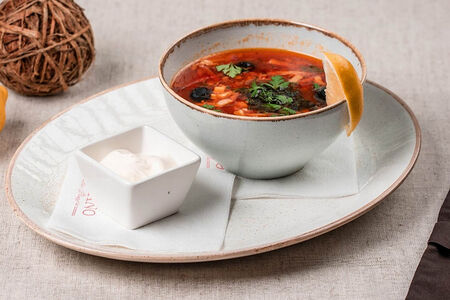 Солянка сборная мясная со метаной