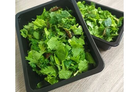 Микс зелени органической