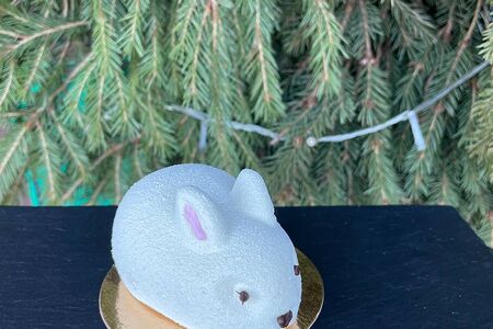 Муссовые Зайки