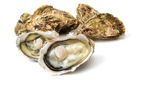 Устрица Джоли