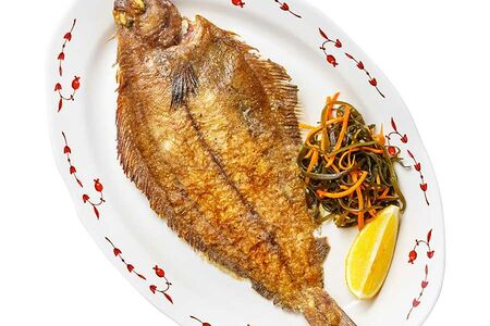 Камбала синекорая