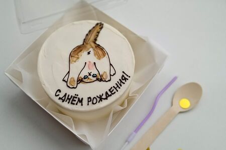 Бенто-торт Попка котика