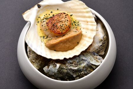 Дикий морской гребешок 