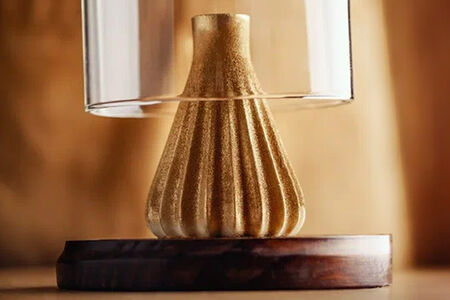 Золотая хинкалина