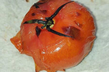 Помидоры на мангале