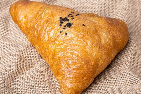 Самса с курицей