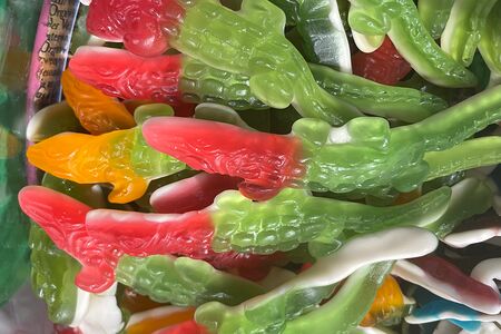 Гигантский крокодил